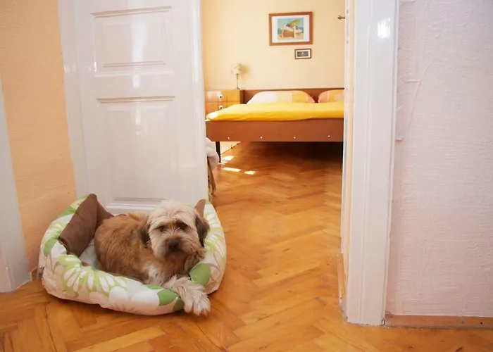 Abeona Mediterranean Vakantiehuis